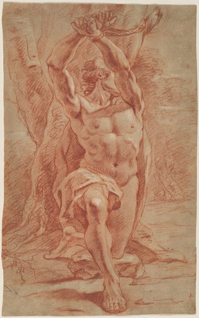 Homme agenouillé attaché à un arbre - French 17th Century