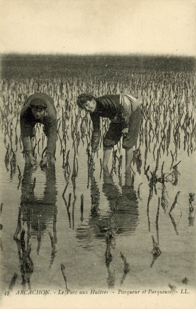 Arcachon, Le Parc aux Huîtres - French Photographer