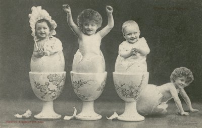 Bébés éclosant d