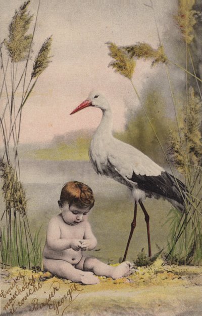 Bébé avec une cigogne - French Photographer