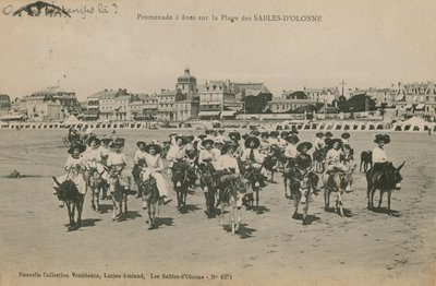 Balades à dos d