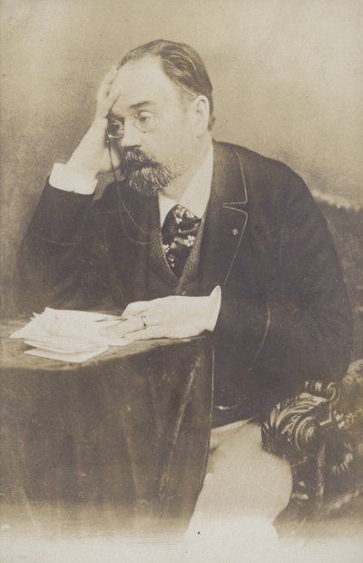 Émile Zola, romancier, journaliste et dramaturge français - French Photographer