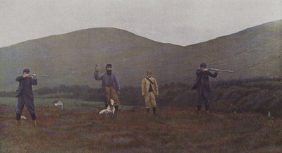 Chasse au tétras en Écosse - French Photographer