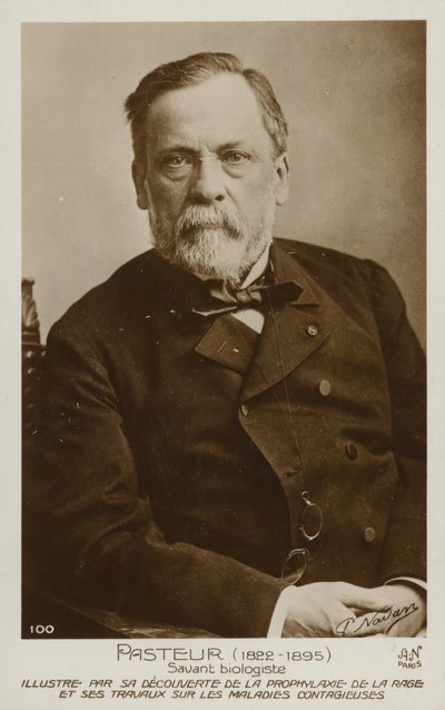 Louis Pasteur (1822-1895), chimiste et microbiologiste français - French Photographer