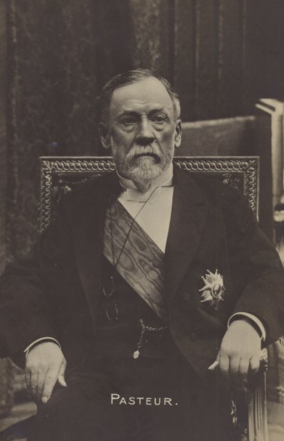 Louis Pasteur (1822-1895), chimiste et microbiologiste français - French Photographer