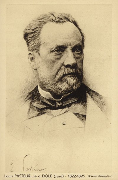 Louis Pasteur (1822-1895), chimiste et microbiologiste français - French Photographer