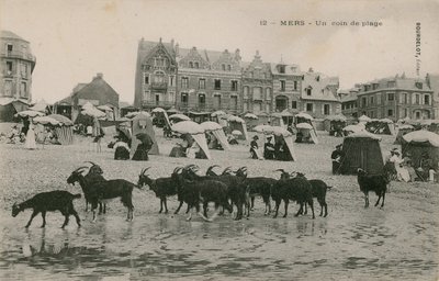 Mers - une partie de la plage - French Photographer