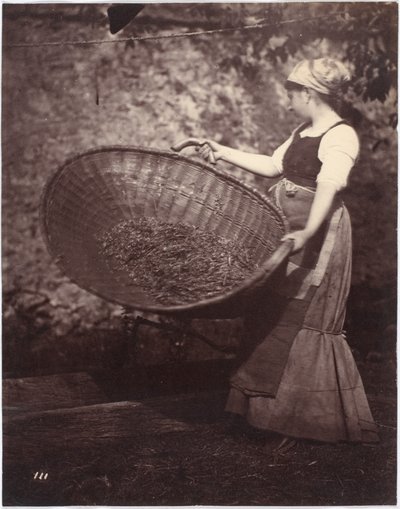 Paysanne avec panier de vannage - French Photographer