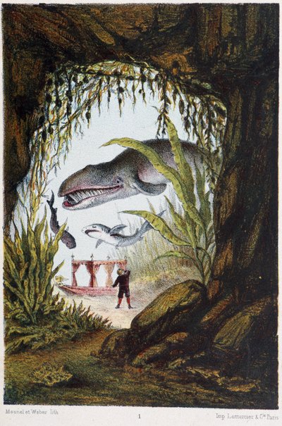 Un garçon sous la mer avec une baleine et un requin - dans « Voyage au fond de la mer » par H. de la Blanchère. Paris, éd. Jouvet et Cie, sd. 1880 - French School