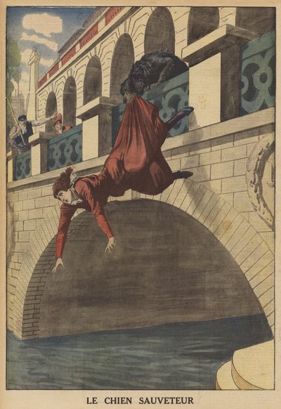 Un chien sauvant une femme de la chute d