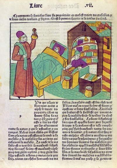 Un patient avec un médecin et un pharmacien, du Livre des Propriétés des Choses par Barthélemy l