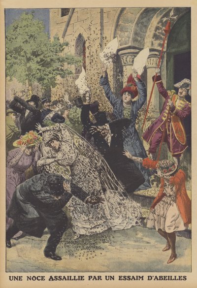 Un mariage assailli par un essaim d