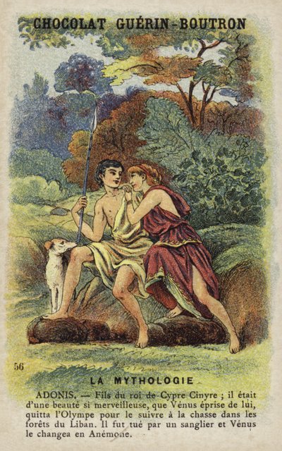 Adonis - French School