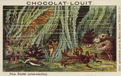 Une forêt sous-marine en l