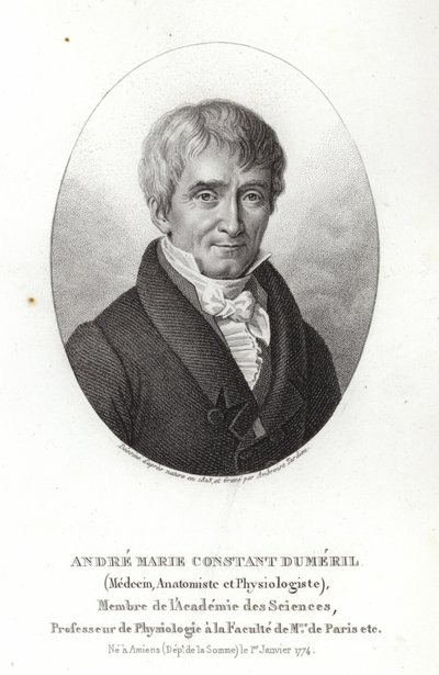 André Marie Constant Duméril - French School