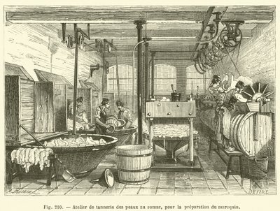 Atelier de tannerie des peaux au sumac, pour la preparation du maroquin - French School