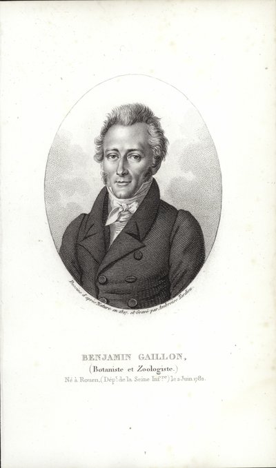 Benjamin Gaillon - French School