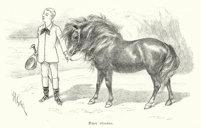 Garçon avec un poney irlandais - French School