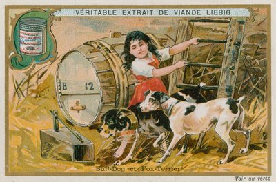 Bouledogue et Fox-terrier - French School