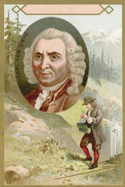 Carl von Linné, botaniste et zoologiste suédois - French School