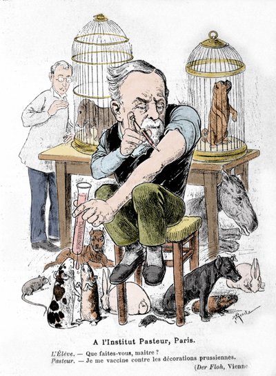 Représentation caricaturale du scientifique Louis Pasteur, inventeur du vaccin contre la rage, se vaccinant contre les décorations prussiennes. Publiée dans 