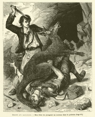 Chasse aux kangourous - French School