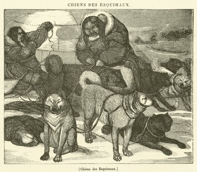 Chiens des Esquimaux - French School