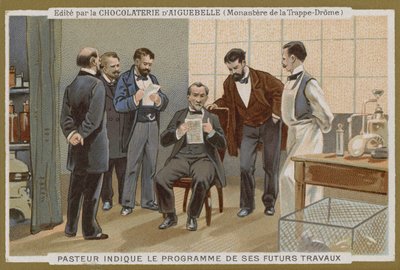 Carte de commerce Chocolat d