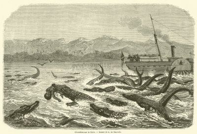 Crocodiles sur le Chire - French School