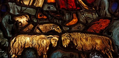 Moutons de l
