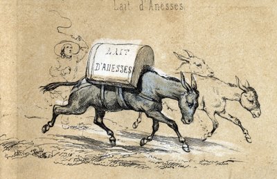 Description des différents produits et usages de l