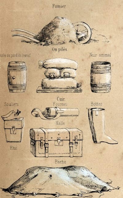 Description des divers produits et usages de la vache : huile de pied de bœuf, objets en cuir, fumier. Planche "La vache et ses produits" dans "Les Récréations instructives" par Jules Delbruck - French School