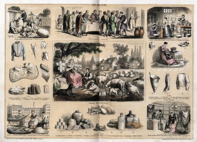 Description des divers usages et produits des moutons : tonte des moutons, agneau pascal servi comme plat traditionnel à Pâques, jeunes laitières fabriquant du beurre et des fromages ; produits en tapisserie et laine, tasses, pantoufles, bas en laine, vend - French School