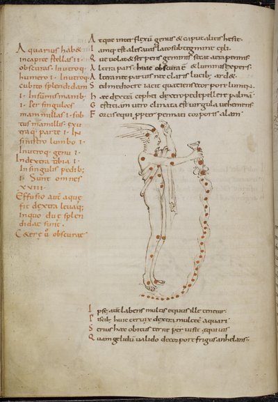 Dessin de la constellation du Verseau, avec les étoiles représentées par des points rouges, du 