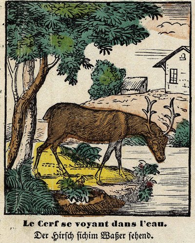 Fables de La Fontaine : le cerf se voyant dans l