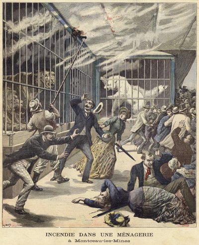 Incendie au zoo de Montceau-les-Mines - French School