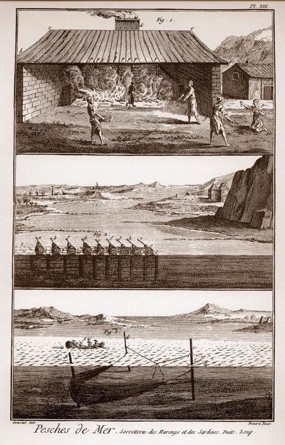 Pêche, harengs et sardines - « La Grande Encyclopédie, ou Dictionnaire Raisonné des Sciences, des Arts et des Métiers » par Denis Diderot - French School