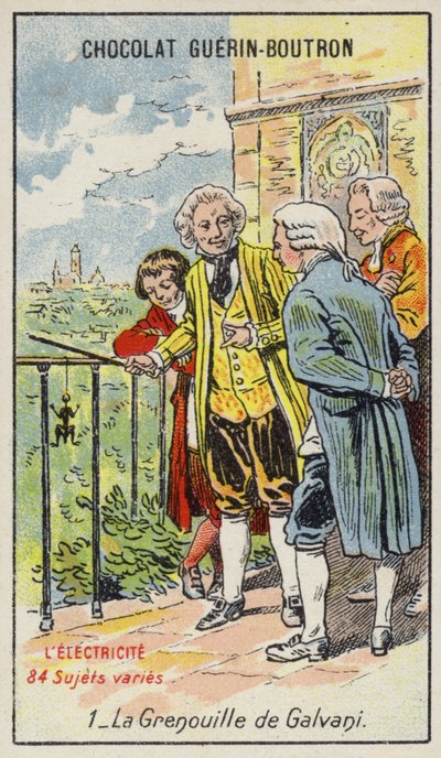 La grenouille de Galvani - French School