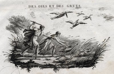 Oies et grues. Fable d