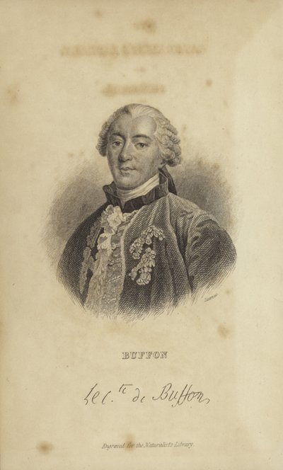 Georges-Louis Leclerc, Comte de Buffon - French School