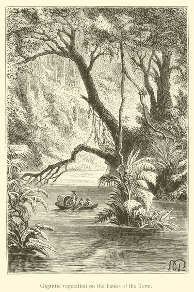 Végétation gigantesque sur les rives du Temi - French School