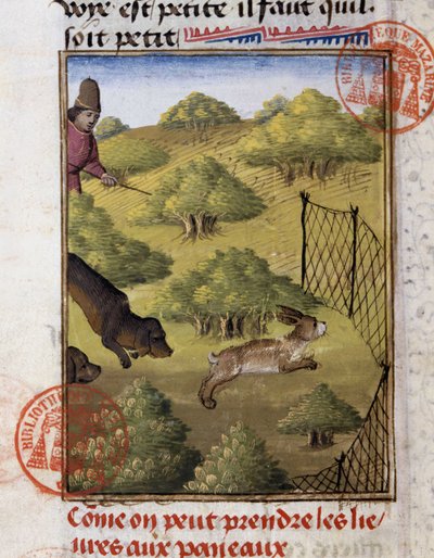 Chasse au lièvre - dans "Livre de chasse de Gaston Phoebus, Comte de Foix, Seigneur de Béarn" - French School