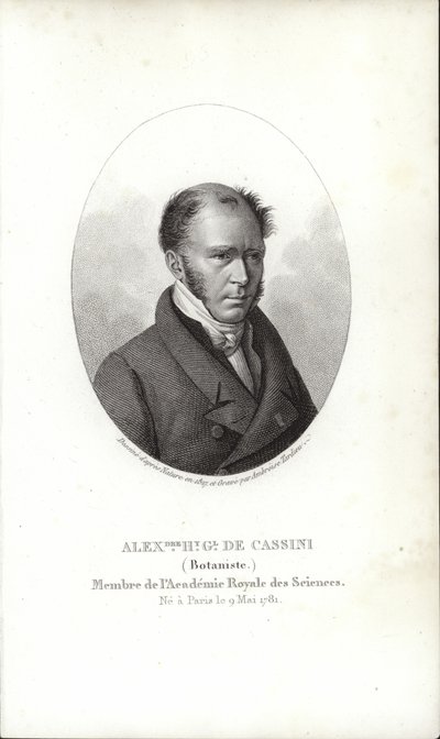 Henri Cassini - French School