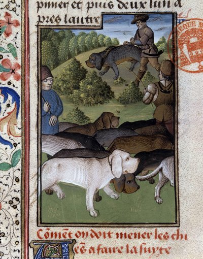 Chiens de chasse - dans "Livre de chasse de Gaston Phoebus, Comte de Foix, Seigneur de Béarn" - French School