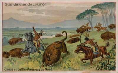 Chasse au bison en Amérique du Nord - French School