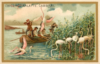 Chasse aux flamants roses, Espagne - French School