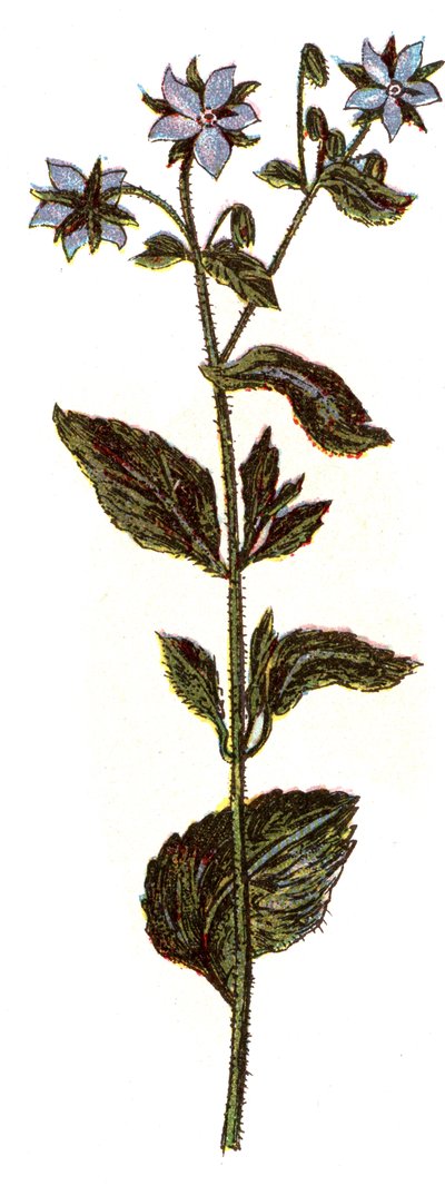 Illustration for "Mon docteur - traite de medecine et d