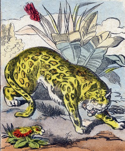 Jaguar. Gravure dans "Buffon Alphabet des Animaux". 3e Série N 1. Imagerie d