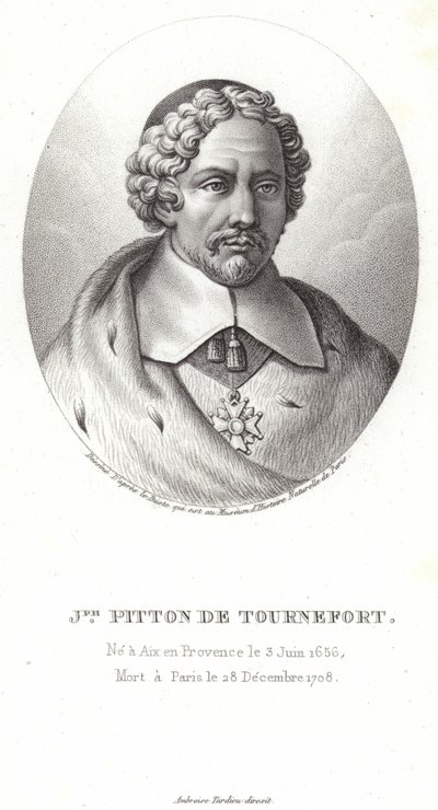 Joseph Pitton de Tournefort - French School