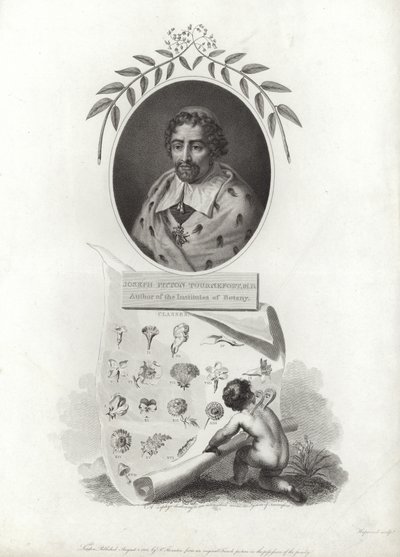 Joseph Pitton de Tournefort - French School